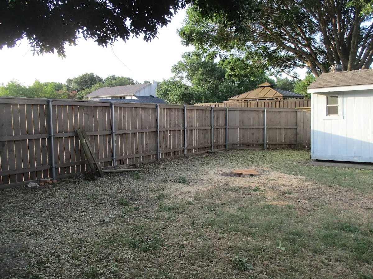 Cleared yard after professional tree removal in Charlestown