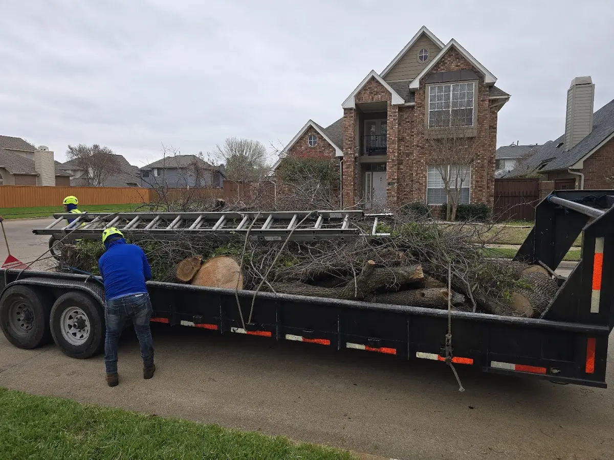 Expert Tree Pest Control with proper safety equipment in Charlestown